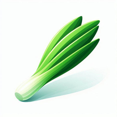 Vector illustration of fresh green leek on white background with shadow.のイラスト素材