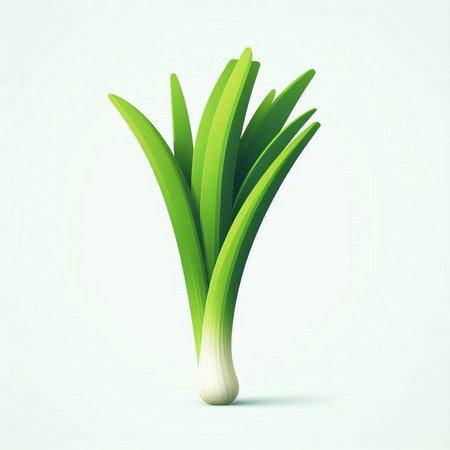 Fresh green onion on white background. Vector illustration. Eps 10.のイラスト素材
