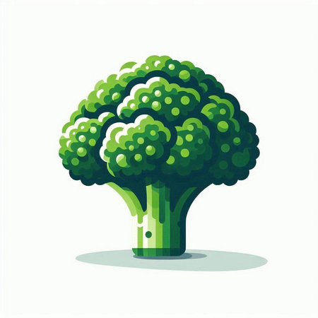 Broccoli isolated on a white background. Vector illustration. Eps 10.のイラスト素材