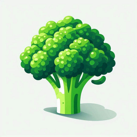 Broccoli isolated on white background. Vector illustration. Eps 10.のイラスト素材
