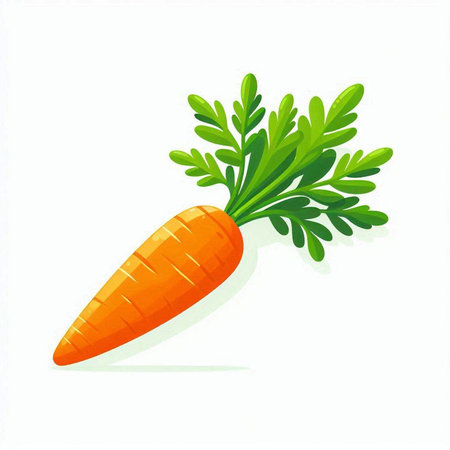 Carrot isolated on white background. Vector illustration. Eps 10.のイラスト素材