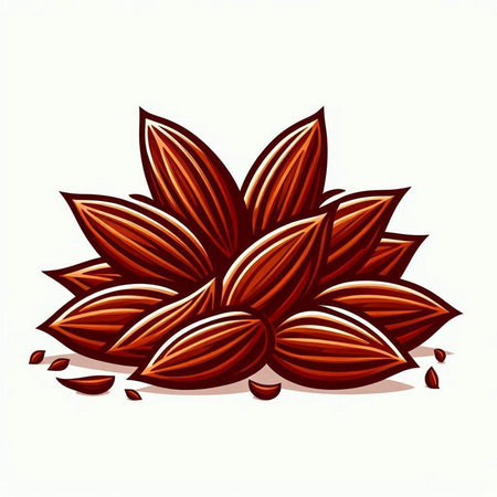 Illustration of cocoa beans on a white background. Vector illustration.のイラスト素材