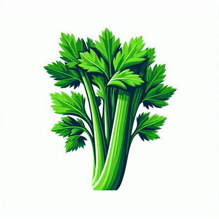 Celery isolated on white background. Vector illustration. Eps 10.のイラスト素材