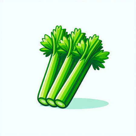 Celery isolated on white background. Vector illustration. Eps 10.のイラスト素材