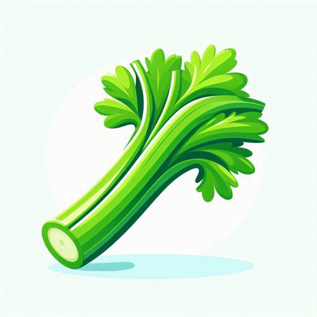 Celery isolated on white background. Vector illustration. Eps 10.のイラスト素材