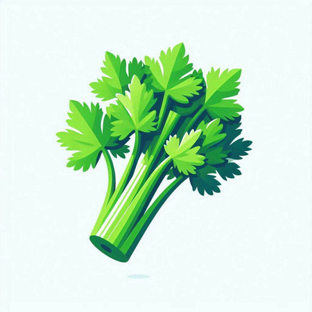 Celery isolated on white background. Vector illustration. Eps 10.のイラスト素材