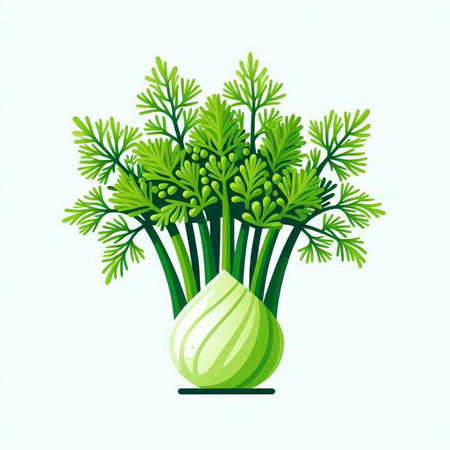 Fresh bunch of dill in a vase. Vector illustration.のイラスト素材
