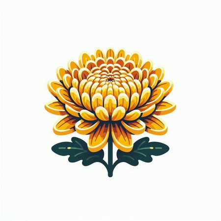 Chrysanthemum flower isolated on white background. Vector illustration.のイラスト素材