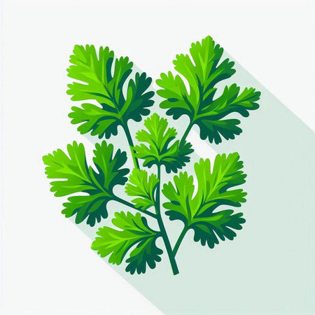 Parsley leaves icon. Flat illustration of parsley leaves icon for web designのイラスト素材