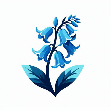 Blue hyacinth flower on a white background. Vector illustration.のイラスト素材