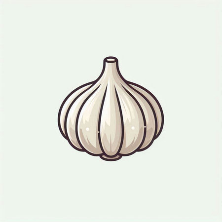 Garlic vector illustration. Hand drawn garlic isolated on white background.のイラスト素材