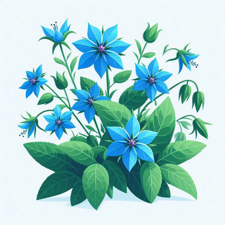 Beautiful blue flowers on white background. Vector illustration for your designのイラスト素材