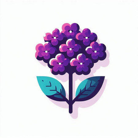 Purple hydrangea on white background. Vector illustration.のイラスト素材