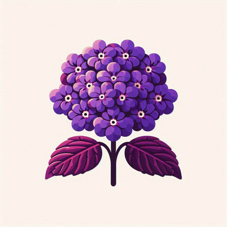Purple hydrangea flower on white background. Vector illustration.のイラスト素材