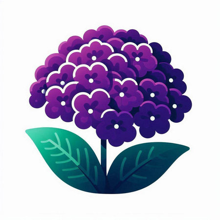 Hydrangea flower icon. Floral nature plant and garden theme. Isolated design. Vector illustrationのイラスト素材
