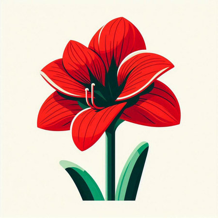 Illustration of a red amaryllis flower on a white backgroundのイラスト素材
