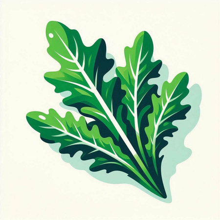 Green arugula leaves isolated on white background. Vector illustration.のイラスト素材