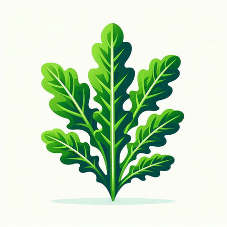 Vector illustration of a green leaf isolated on a white background. Eps 10のイラスト素材