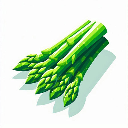 Fresh green asparagus on a white background. Vector illustration.のイラスト素材