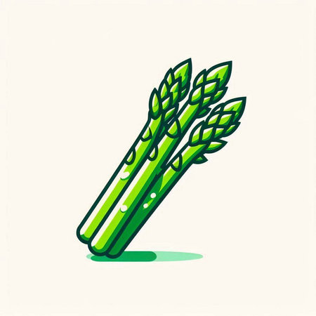 Green asparagus icon. Vector illustration. Isolated on white background.のイラスト素材