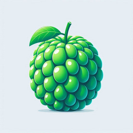 Custard apple on white background. Isolated vector illustration.のイラスト素材
