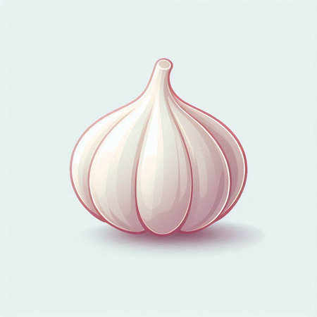 Garlic. Vector illustration. Isolated on a white background.のイラスト素材
