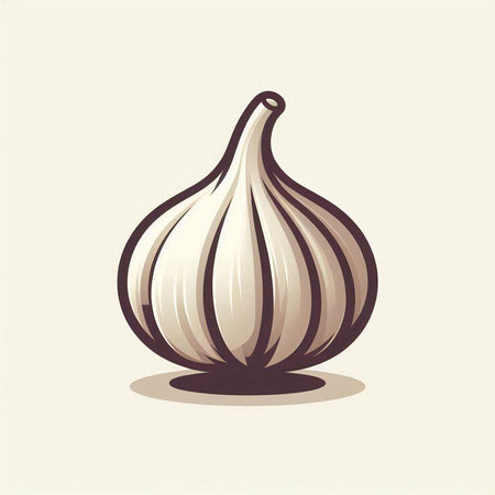 Garlic vector illustration, isolated on white background. Vector illustration.のイラスト素材