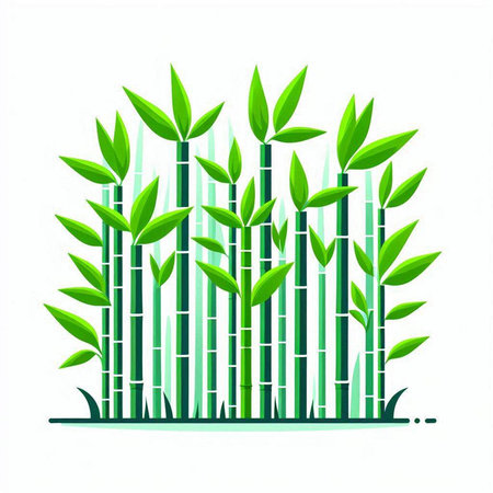 Green bamboo stems and leaves isolated on white background. Vector illustration.のイラスト素材