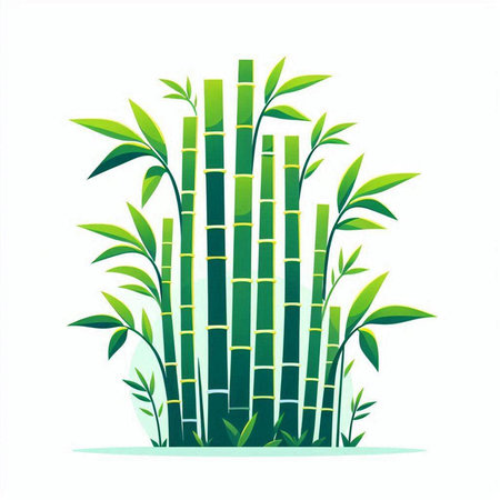 Bamboo vector illustration isolated on a white background. Vector illustration.のイラスト素材