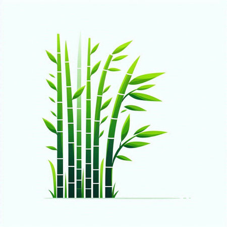 Bamboo background. Vector illustration of a green bamboo on a white background.のイラスト素材