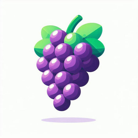 grapes on a white background, vector illustration, eps10のイラスト素材