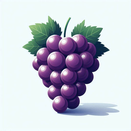 Grapes with leaves on a white background. Vector illustration.のイラスト素材