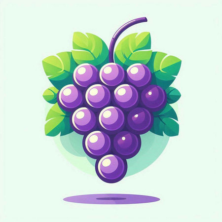 Grapes on a green background. Vector illustration of grapes.のイラスト素材