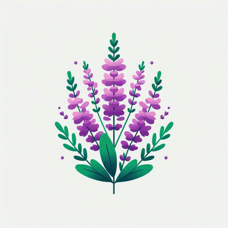 Lavender flower vector illustration on white background. Decorative floral background.のイラスト素材