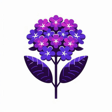 Purple hydrangea on a white background. Vector illustration.のイラスト素材