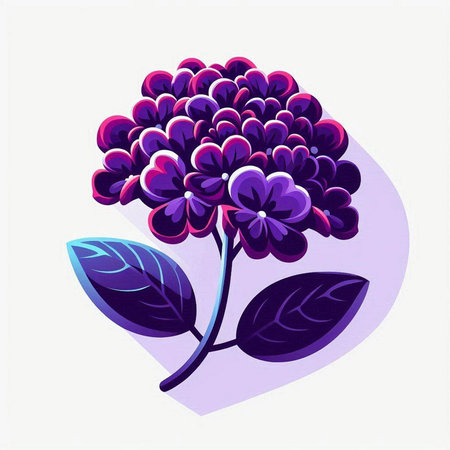 Purple hydrangea flower with leaves. Vector illustration.のイラスト素材