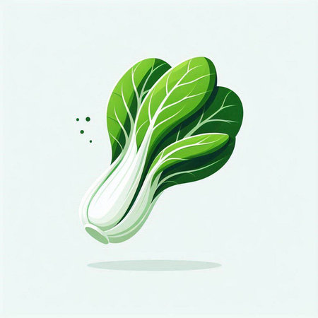 Bok choy vector illustration. Fresh vegetable isolated on white background.のイラスト素材
