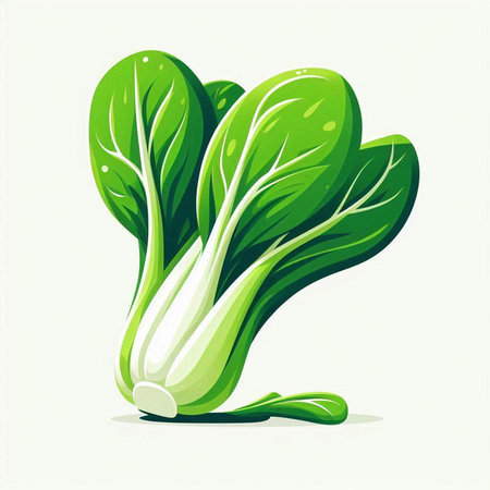 Illustration of fresh bok choy isolated on a white backgroundのイラスト素材