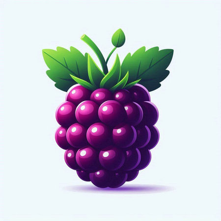 Vector illustration of a blackberry with leaves on a white background.のイラスト素材