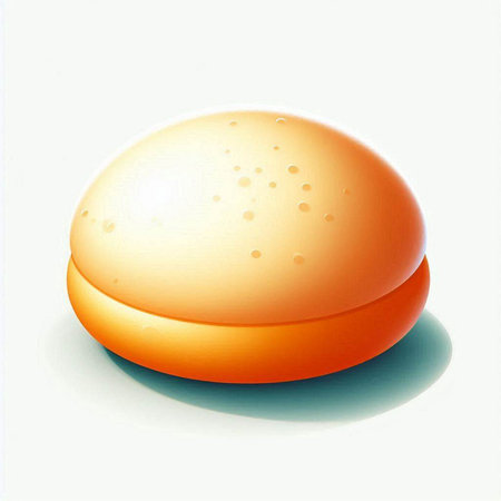 Illustration of an orange egg on a white background with shadow.のイラスト素材
