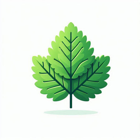 Green leaf icon isolated on white background. Vector illustration. Eps 10.のイラスト素材