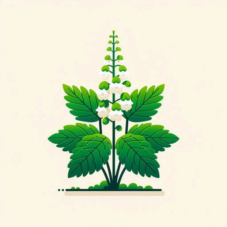 Lily of the valley plant with green leaves. Vector illustration.のイラスト素材