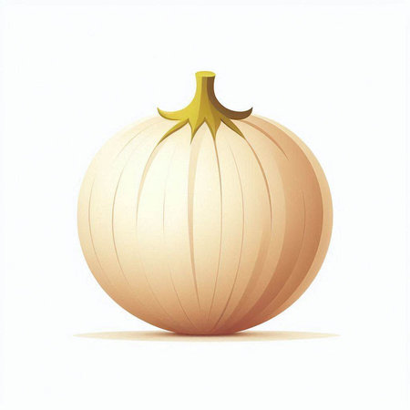 Onion on a white background. Vector illustration. Eps 10.のイラスト素材