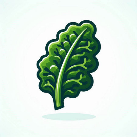 Lettuce icon. Vector illustration. Isolated on white background.のイラスト素材