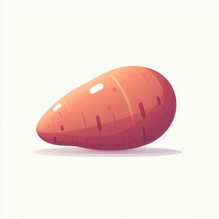 Sweet potato on a white background. Vector illustration of sweet potato.のイラスト素材
