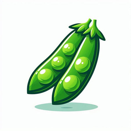 Peas isolated on white background. Vector illustration. Eps 10.のイラスト素材