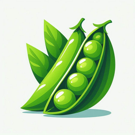Green peas with leaves on a white background. Vector illustration in cartoon style.のイラスト素材