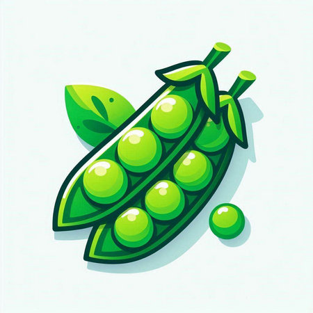 Green peas with leaves on a white background. Vector illustration. Eps 10のイラスト素材