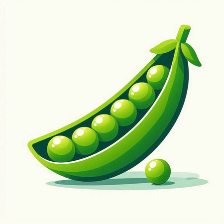 Green peas on a white background, vector illustration, eps10のイラスト素材