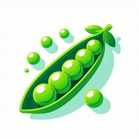 Green peas on a white background. Vector illustration. Eps 10.のイラスト素材